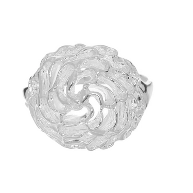 Anillo Remolino